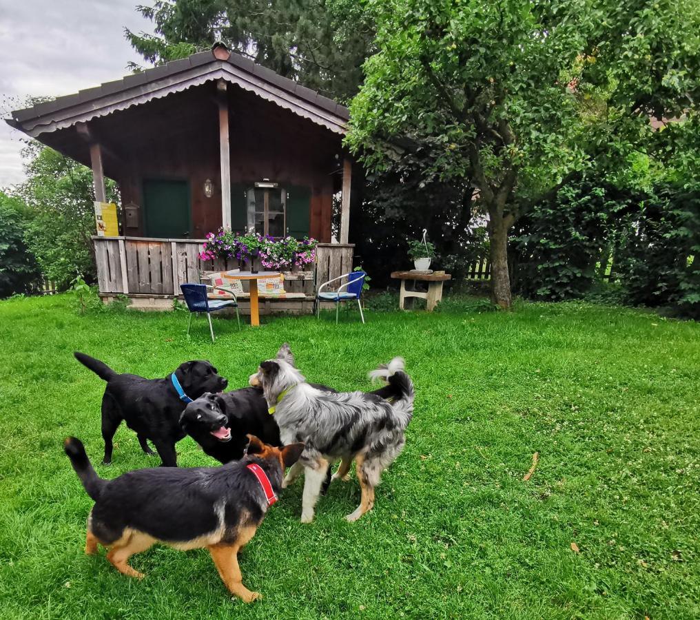 Schusterbauer Villa Koppl Exteriör bild