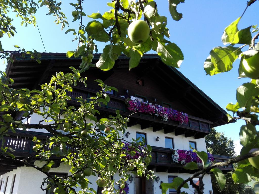 Schusterbauer Villa Koppl Exteriör bild