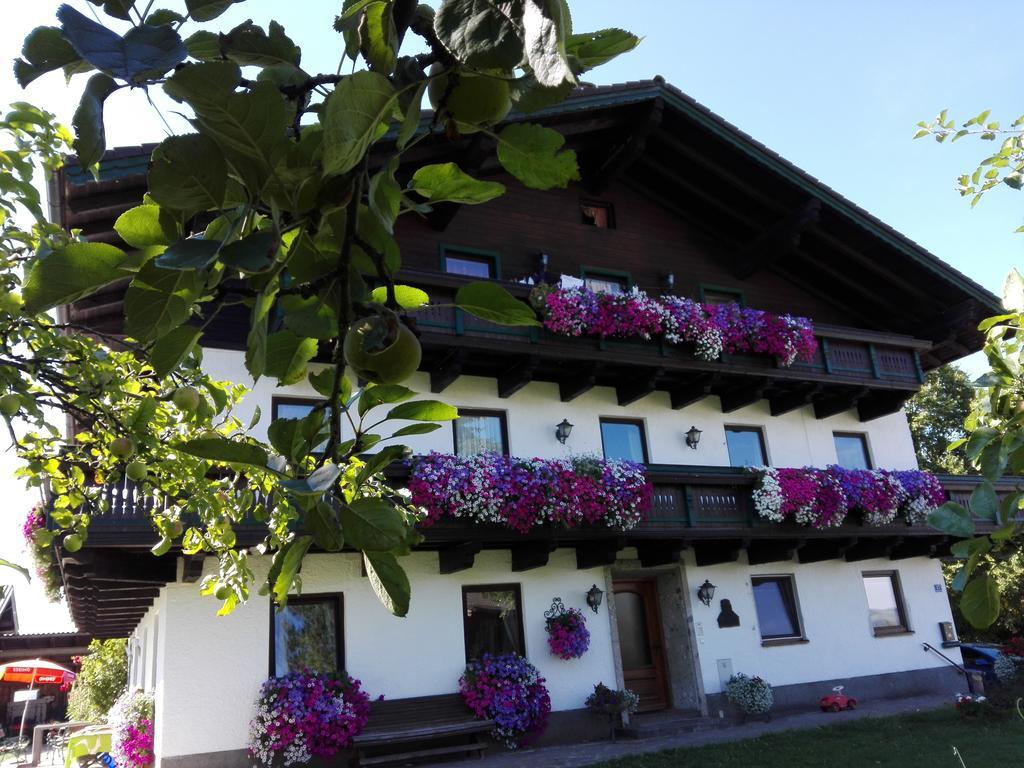 Schusterbauer Villa Koppl Exteriör bild
