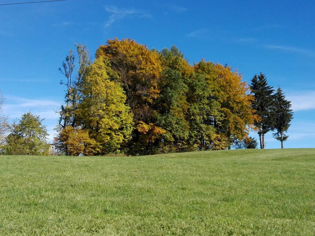 Schusterbauer Villa Koppl Exteriör bild