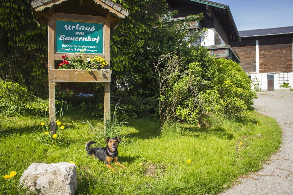 Schusterbauer Villa Koppl Exteriör bild