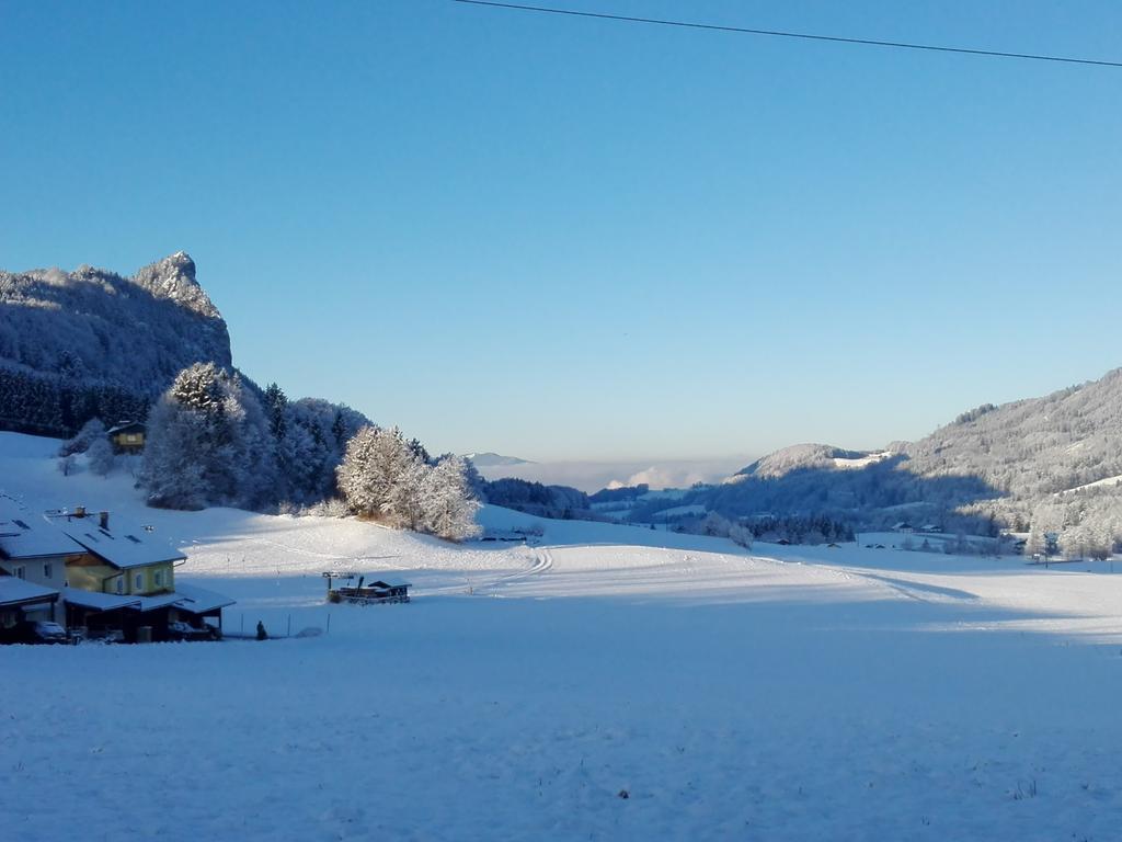 Schusterbauer Villa Koppl Exteriör bild