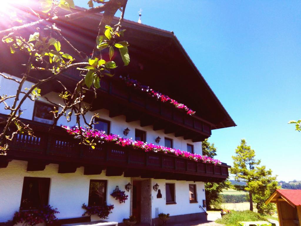 Schusterbauer Villa Koppl Exteriör bild